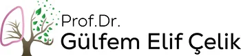 Prof. Dr. Gülfem Çelik